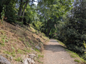Tree-shaded trail along the Chilometro della Conoscenza