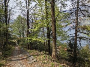 Nature trail along the Strada Regia