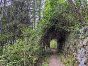 Nature trail along Strada Regia