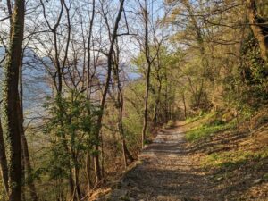 Nature trail along Strada Regia