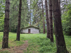 Characteristic lodge in the woods of Val Sanagra