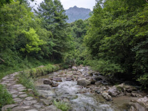 The path alongside the Sanagra stream