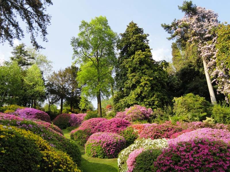 Die schönen Gärten der Villa Carlotta